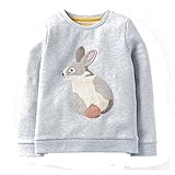 ZooArts 子供服 トレーナー ガールズ キッズ 女の子 春秋冬 かわいい ウサギ柄 トップス スウェットシャツ 長袖 丸い襟 綿100% 柔らかい ファッション おしゃれ 2~7歳 (2T)