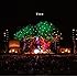 Tree(初回限定盤)