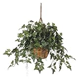Nearly Natural English Ivy Hanging Basket Silk Plant by Nearly Natural