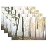 wihveプレースマットWipeableダイニング秋フォレストツリーフォグ 12 x 18 inch