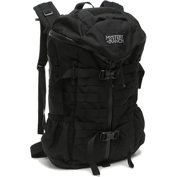 Amazon.co.jp: [ミステリーランチ] 2 デイアサルト バックパック