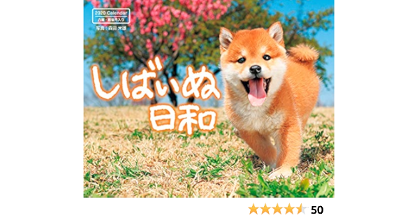 しばいぬ日和 インプレスカレンダー 森田米雄 本 通販 Amazon