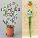 ニチカン　フラワー支柱（大）　75cm