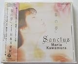 �t�̖��`�T���N�^�X