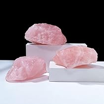 51FpPugFqNL._AC_UL210_SR210,