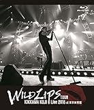 KIKKAWA KOJI Live 2016�gWILD LIPS�hTOUR at �����̈��
