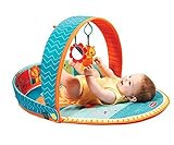 Cozy Gymini 3 in 1: Spieldecke mit Spielbogen