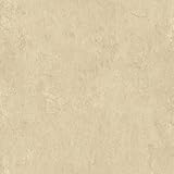 York Wallcoverings HP0409 New Neutrals Floral Spray Texture Wallpaper, Beiges [並行輸入品]