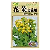 カネコ種苗 草花タネ 花菜切花用 寒咲ちりめん花菜 10袋セット 139