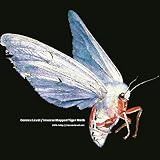Imverse Mapped Tiger Moth