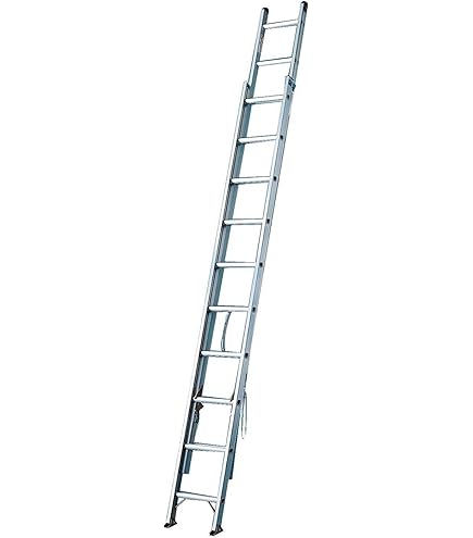 Amazon.co.jp: アルインコ 伸縮式梯子 1.02~4.42m 最大使用質量100kg 