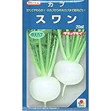 【種子】タキイ種苗　カブ　スワン　20ml