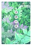 真理の泉
