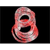 Sienna Red LED Indoor/Outdoor Christmas Rope Lights 18' [並行輸入品]