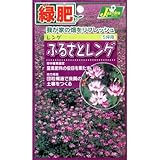 [緑肥シリーズ5坪用]ふるさとレンゲ(30ml入り) 4袋セット[9～12月まき] ノーブランド品