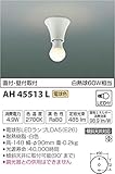 コイズミ照明 小型シーリングライト 直付・壁付取付 白熱球60W相当 電球色 AH45513L