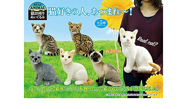 海外輸入商品 リアルアニマル猫お座りぬいぐるみ 新品未使用 茶トラねこ c3f メーカー取寄せ Www Cfscr Com