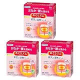 【まとめ買い】3個セット 蒸気の 温熱シート 下着の内側面に 貼るタイプ5枚