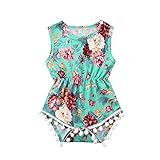 0-24M新生児の幼児の赤ちゃんの女の子フローラルプリントコットンロンパーノースリーブレースジャンプスーツ夏服セット (100)