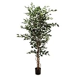 MAGIQ 東京堂 上質な造花 H200cm ファイカスエキゾチカ L GREEN FG003417
