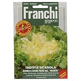 野菜の種 エンダイブ BIONDA A CUORE PIENO SEL."FRANCHI" 121/17