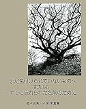 まだ名付けられていないものへまたは、すでに忘れられた名前のために―宮本成美・水俣写真集