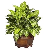 Nearly Natural 6709 Variegated Dieffenbachia with Large Hexagon Decorative Silk Plant, Green [並行輸入品]