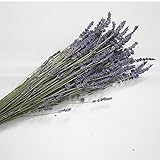 Firlar Real lavender　ラベンダーパープル 天然ラベンダー　 花束 家庭やパーティーの装飾 明るい色合い 癒しを演出　飾り物　可愛い　テーブル飾り　お祝い　バレンタインの日ギフト