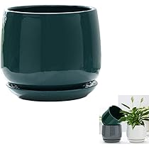 Amazon | Auyyhui植木鉢 陶器 観葉植物 鉢 大型 陶器鉢 観葉植物鉢