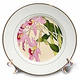 BLN Japanese Woodblock花by Tanigami Konan – ライトとダークピンクLaelia Orchids – プレート 8-Inch cp_175429_1