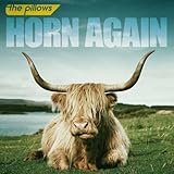 HORN AGAIN(DVD付)