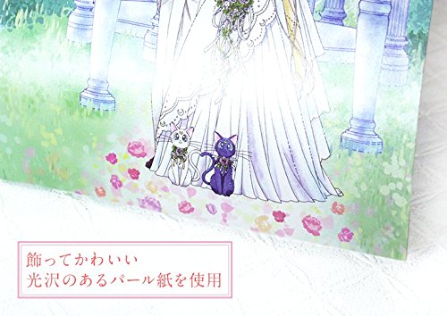 役所に提出できるデザイン婚姻届 美少女戦士セーラームーン Moonlight Kiss 文具百貨