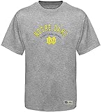 Notre Dame Licensed NCAAメンズセカンダリArch Teeシャツグレービッグとトールサイズ 3L