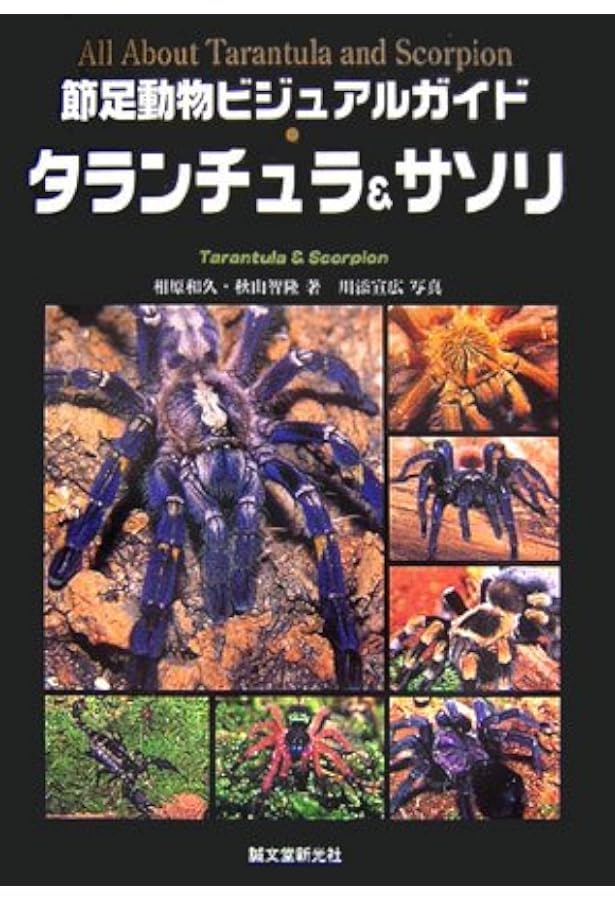 タランチュラの世界 | 冨水 明 |本 | 通販 | Amazon