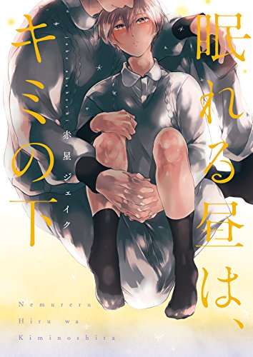 眠れる昼は、キミの下