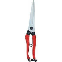 Amazon | 高儀(Takagi) サンフラワーファクトリー×TAKAGI 葉刈鋏 225mm