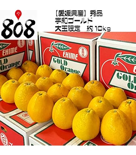 Amazon.co.jp: 愛媛 河内晩柑 7kg Lサイズ指定 秀品・ギフト用 宇和