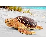 FRP 産卵場所を探すアカウミガメ/Loggerhead Turtle 『亀オブジェ アニマルオブジェ 店舗・イベント向け』