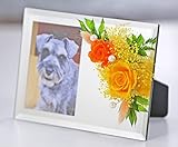 アートフォーシーズン　ペット用お供え花　フォトミラー　プリザーブドフラワー (オレンジ)