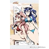 戦姫絶唱シンフォギアAXZ 翼 & マリア シーツ 長辺約220cm×短辺約128cm