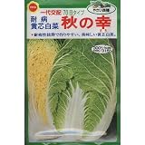 耐病黄芯白菜 秋の幸 70日タイプ (067)