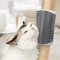 51G-vKvLvNL._AC_UL210_SR210,