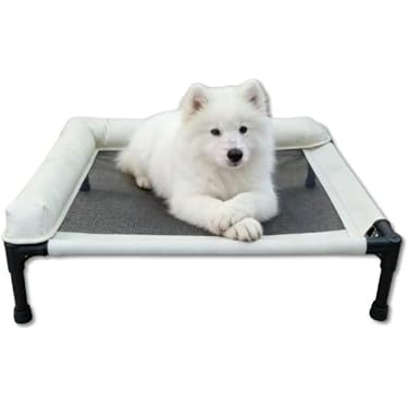 Amazon.co.jp 最新リリース: 犬用ベッド・クッション の新着ランキング