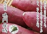 【 生産農場直送 】 さつまいも苗 芋づる 鳴門金時 1束10本入り サツマイモ イモヅル