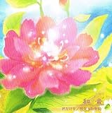 �N������/������������