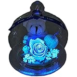 アートフォーシーズン 光るバラ　ベアアップル　プリザーブドフラワー (ピンク　ブルー発光　四つ葉のクローバー入り)