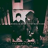Happiness in Self Destruction