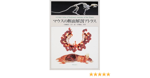 Amazon マウスの断面解剖アトラス 岩城 隆昌 Anatomy