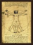 ブロッコリーハイブリッドスリーブ レオナルド・ダ・ヴィンチ「ウィトルウィウス的人体図」