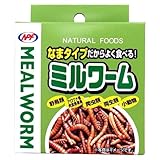 ナチュラルペットフーズ ミルワーム 35g×24缶